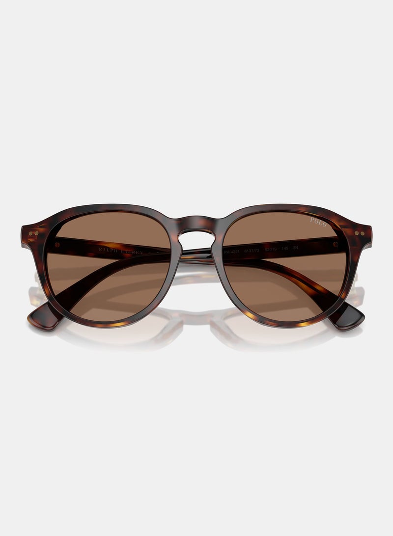 POLO RALPH LAUREN Full Rim Phantos Sunglasses 0PH4221 - Image 4